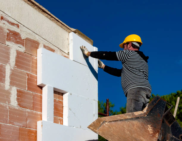 Best Insulation Removal Services  in Weldon Spring, MO