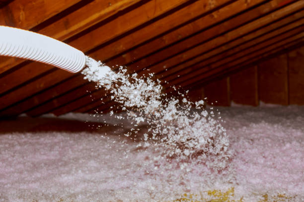 Best Best Insulation Companies  in Weldon Spring, MO