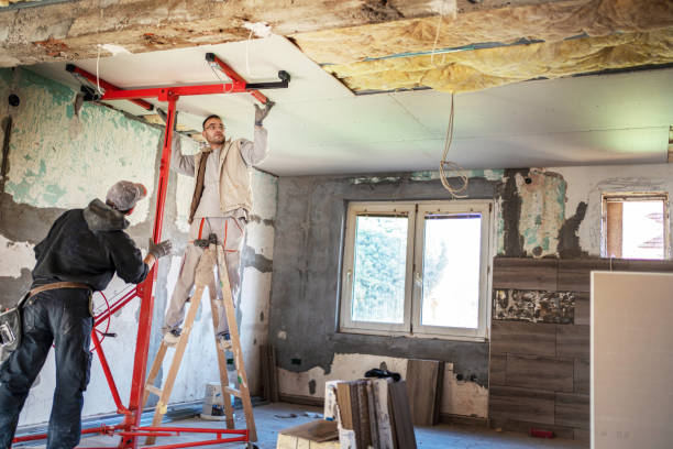 Best Attic Insulation Installation  in Weldon Spring, MO