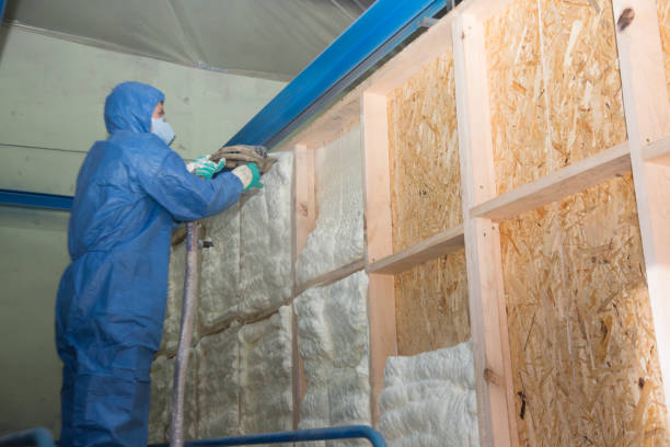 Best Professional Insulation Contractor  in Weldon Spring, MO