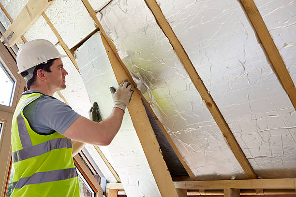 Best Crawl Space Insulation  in Weldon Spring, MO