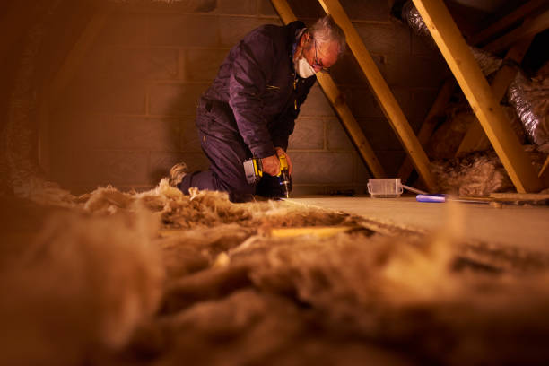 Best Insulation Inspection Services  in Weldon Spring, MO
